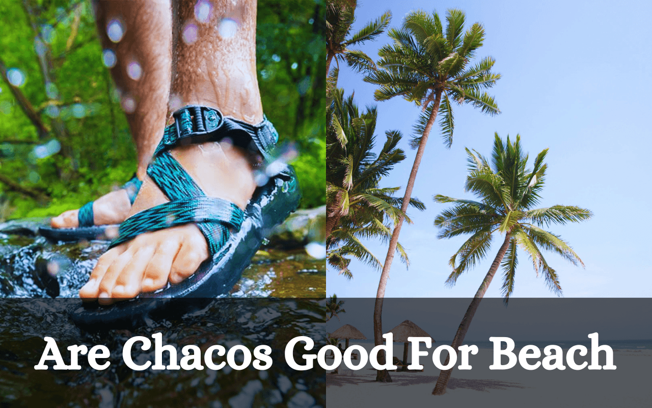 United by blue on sale chacos