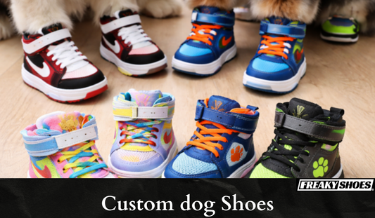 Order Customized Shoes For Dog Lovers in 4 Steps