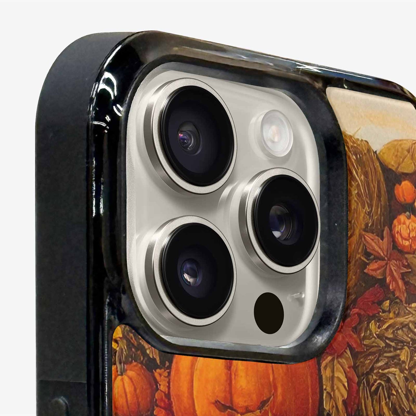 iPhone 16 Pro Case — Autumn Pumpkin Patch Autumn Pumpkin Patch, Custom Print Case Cover