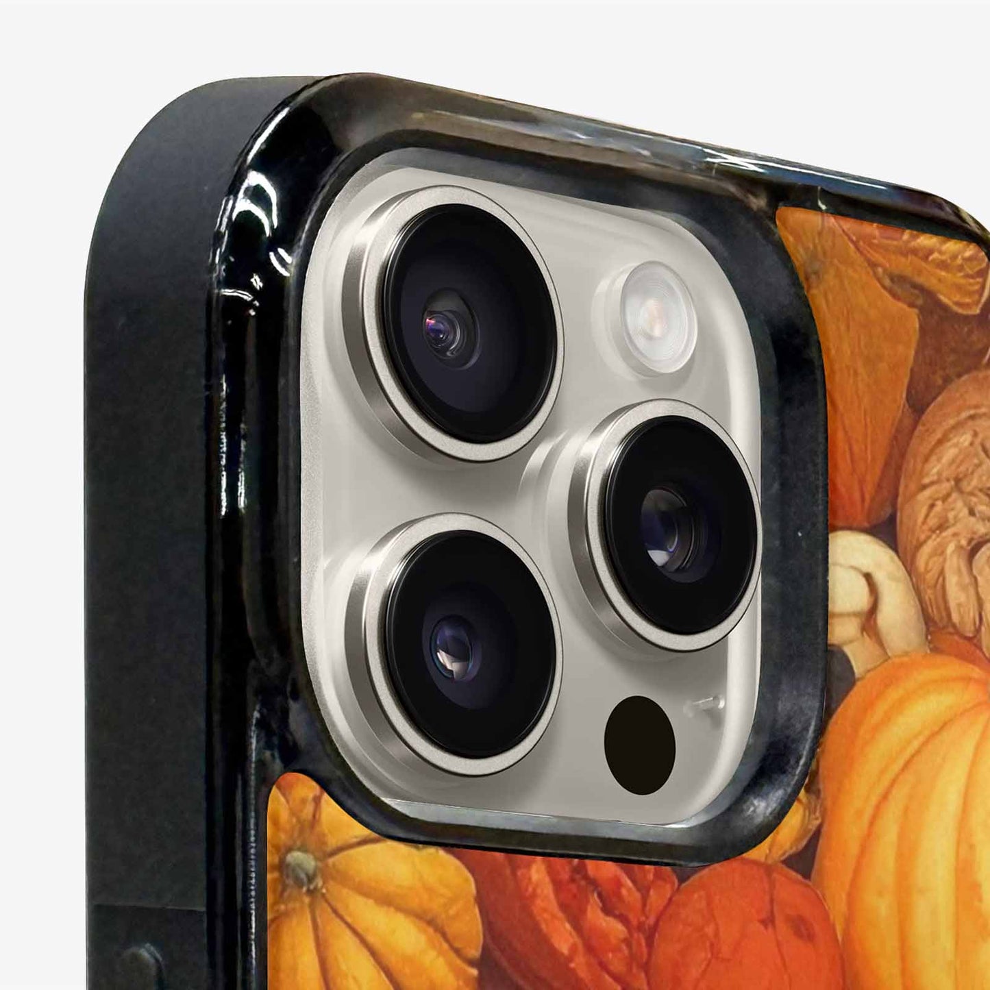 iPhone 16 Pro Case — Autumn Pumpkin Patch Autumn Pumpkin Patch, Unique Phone Case Design
