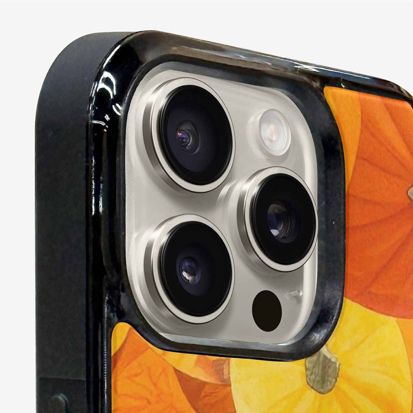 iPhone 16 Pro Max Case — Autumn Pumpkin Patch Autumn Pumpkin Patch, Custom Print Case Cover