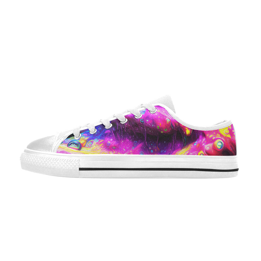MEN'S Cc Acid Bath Drip Canvas Wallpaper Art Sneakers