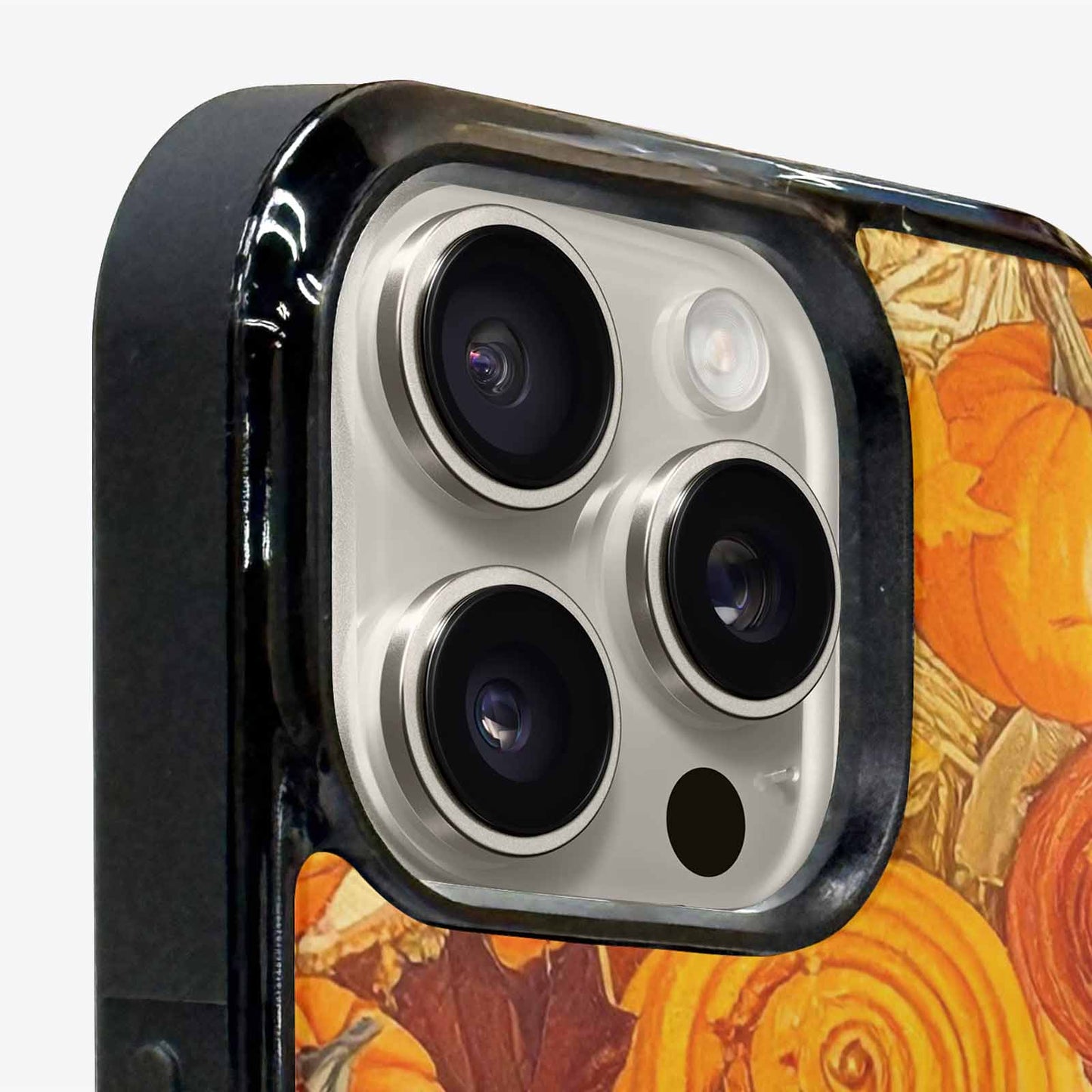 iPhone 16 Pro Max Case — Autumn Pumpkin Patch Autumn Pumpkin Patch, Custom Phone Case