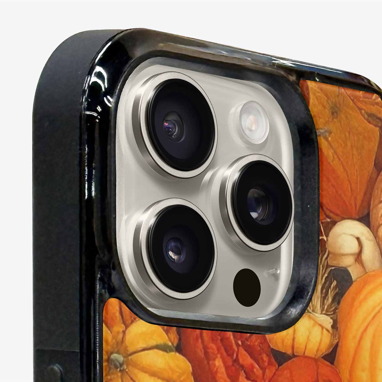 iPhone 16 Pro Max Case — Autumn Pumpkin Patch Autumn Pumpkin Patch, Custom Phone Case